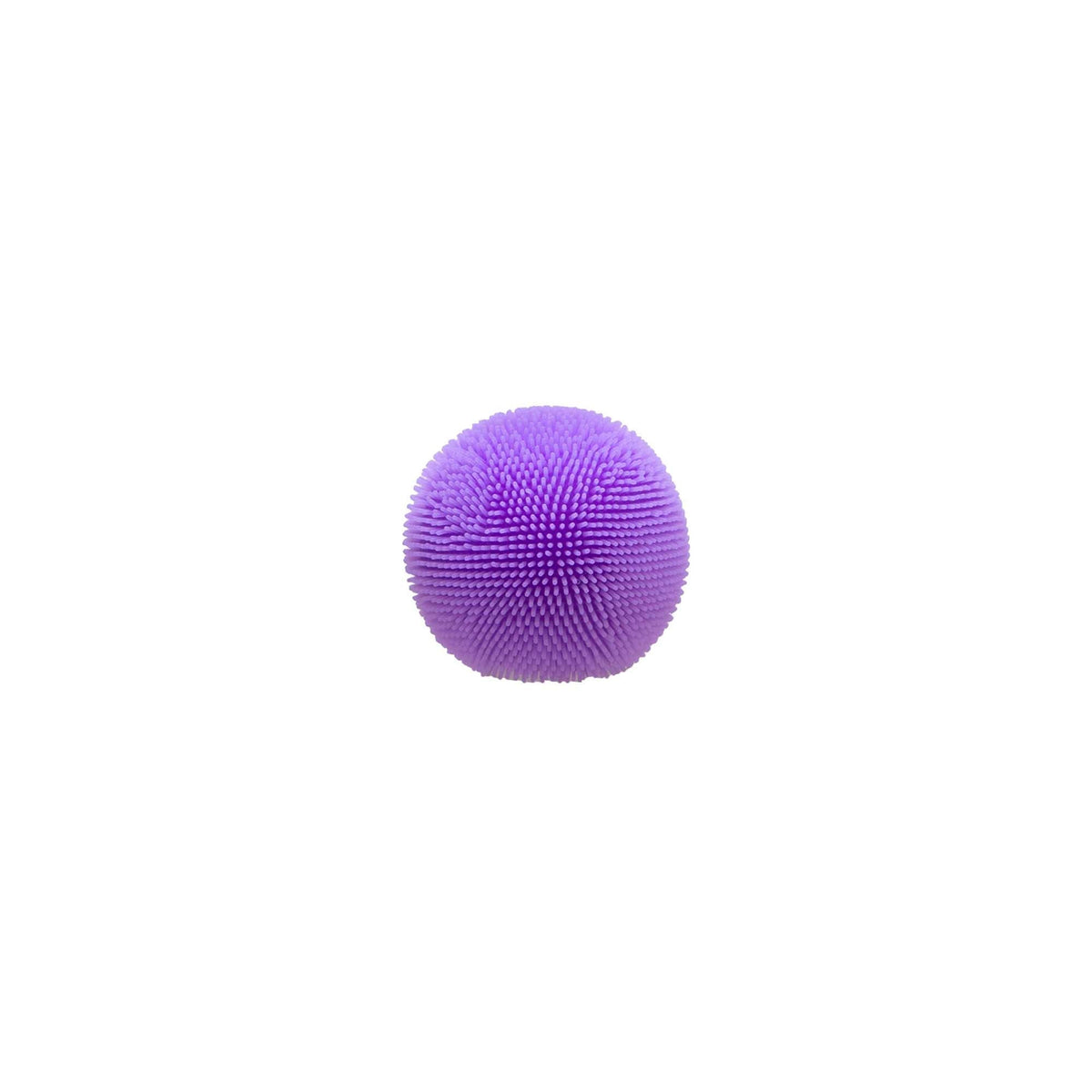 FZBTND_Image11